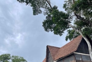 Excursão de 3 dias pela vida selvagem e cultura da Amazônia boliviana: Pampa y Selva