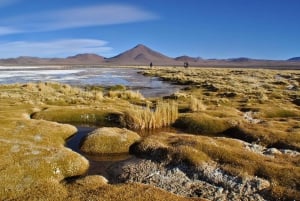 Sajama nasjonalpark fra La Paz