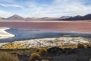 Salar de Uyuni: 3D2N met kamers en maximaal 4 personen