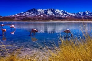 Salar De Uyuni (Klassische 3-Tage-Tour) Spanischer Reiseführer