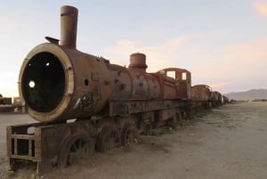 Salar de Uyuni: Privat dagstur