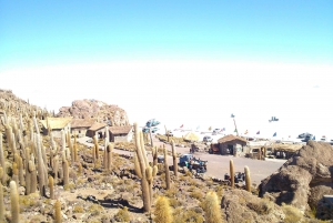 Salar de Uyuni: Privat dagstur