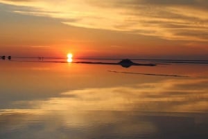 Salar de Uyuni Sunset and Night of Stars |Private Service|