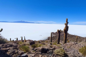 SALAR DE UYUNI:,tours through the majestic uyuni salt flat.