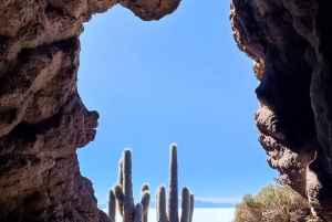 SALAR DE UYUNI:,tours through the majestic uyuni salt flat.