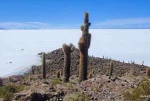 SALAR DE UYUNI:,tours through the majestic uyuni salt flat.