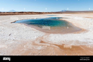 Salar, Laguna Hedionda 2 Tage/1 Nacht Privatservice