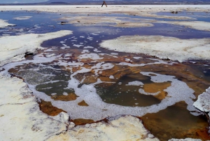 Salar Uyuni 2N 1N Volcan Tunupa Guide anglais Visite privée !