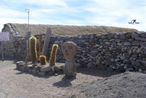 Salar Uyuni 2N 1N Tunupa Vulkan Englische Führung Private Tour!