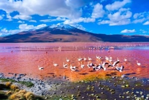 Salar Uyuni, Unterkunft - Komplett 2D - Lagunas Menores