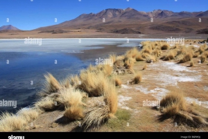 Salar Uyuni route lagunes gids Spaans 2D 1N. Privétour!