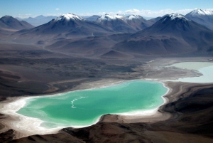 Salinas, lagoons 3d 2n Tour + Transfer San Pedro de Atacama