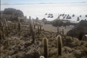 Saltfladen Uyuni fra Uyuni
