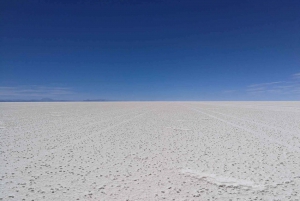 Salt flat with accommodation - Full 3D - With Lagoons