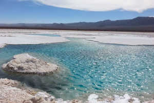 Salt flats, colorful lagoons 3d 2n Tour + Transfer San Pedro