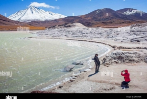 Salt flats, colorful lagoons 3d 2n Tour + Transfer San Pedro