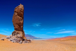 San Pedro de Atacama: Tour of Salt Flats Route with Meals