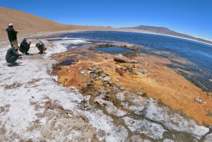 San Pedro de Atacama: Salt Flats -reitin kiertoajelu aterioineen