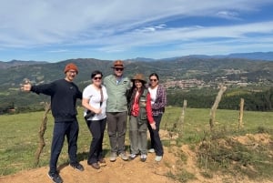 Samaipata Jungle Trek: Oplev de gigantiske bregner i Amboró