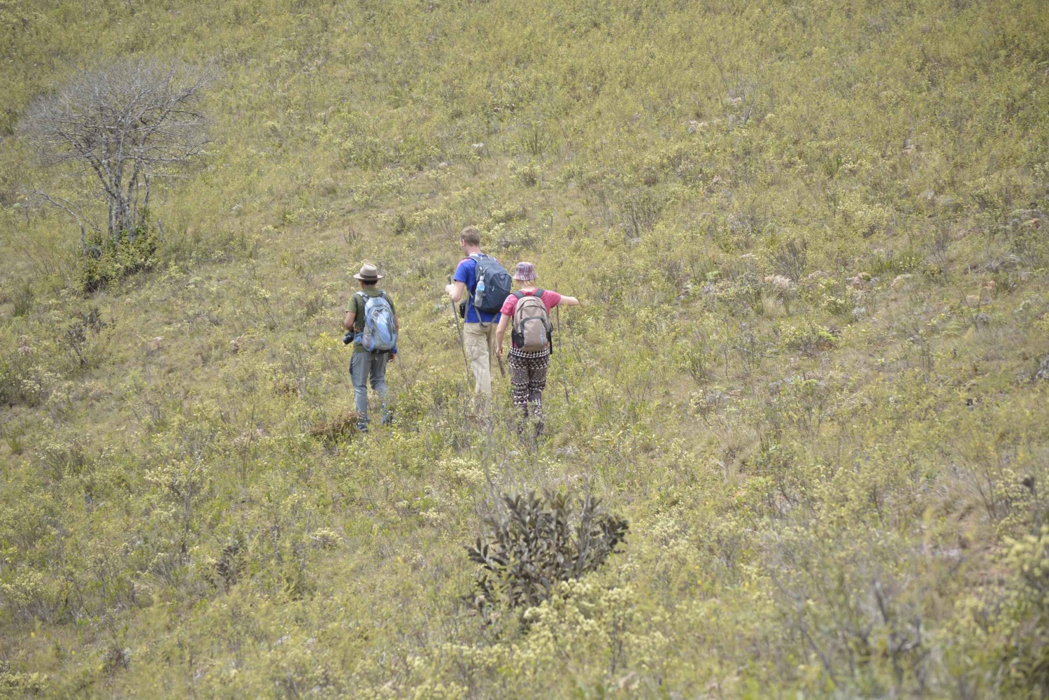 Samaipata: Kondorstien og den hemmelige fossen – guidet fottur