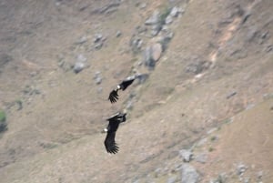 Samaipata: Ruta del Cóndor y cascada secreta con guía