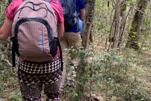 Samaipata: Kondorstien og den hemmelige fossen – guidet fottur