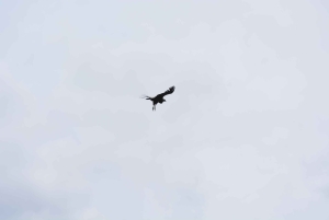 Samaipata: Kondorstien og den hemmelige fossen – guidet fottur