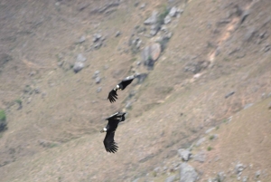 Samaipata: Kondorstien og den hemmelige fossen – guidet fottur