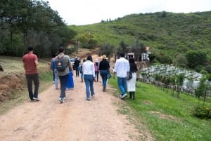 Samaipata: Vinos 1750 Vingårdstur med vinprovning