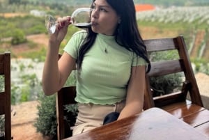 Samaipata: Vinos 1750 Vingårdstur med vinprovning