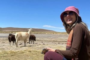 San Pedro de Atacama: 3-dagers tur til saltslettene i Uyuni