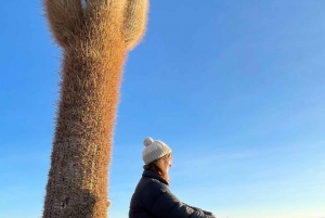 San Pedro de Atacama: 3-dagars Uyuni Salt Flats Tour