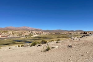 San Pedro de Atacama: 3 päivän Uyunin suolatasangon kiertomatka