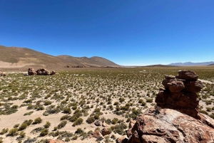 San Pedro de Atacama: 3 päivän Uyunin suolatasangon kiertomatka