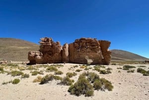 San Pedro de Atacama: 3-tägige Tour durch die Uyuni Salzwiesen