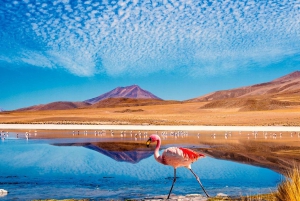 San Pedro de Atacama: 4-dages udflugt til Uyuni Salt Flat