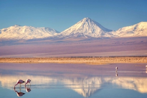 San Pedro de Atacama: 4 päivän retki Uyunin suolatasangolle.