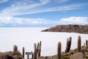 San Pedro de Atacama: 4-dagers utflukt til saltsletten Uyuni