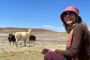 San Pedro de Atacama: 4-tägige Tour durch die Uyuni Salzwiesen