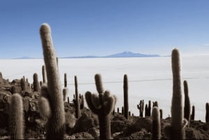 San Pedro de Atacama: 4-daagse Uyuni zoutvlakten tour