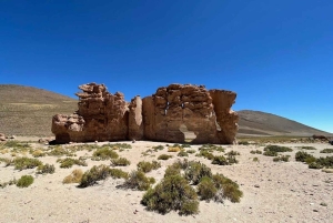 San Pedro de Atacama: 4-dages Uyuni Salt Flats-tur