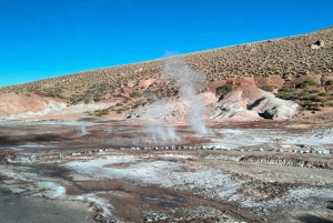 San Pedro de Atacama: El Tatio Geyser Field and Wetlands