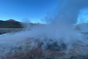 San Pedro de Atacama: El Tatio Geyser Field and Wetlands