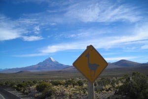 San Pedro de Atacama: Salar Uyuni - Sajama - La Paz. 5D/4N