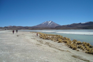 San Pedro de Atacama : Salar Uyuni - Sajama - La Paz. 5J/4N