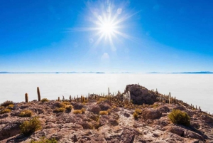 San Pedro de Atacama: Salar de Uyuni 3 dias