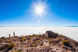 San Pedro de Atacama: Salar de Uyuni 4 dias