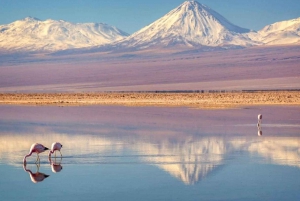 SAN PEDRO DE ATACAMA - UYUNI - SAN PEDRO DE ATACAMA