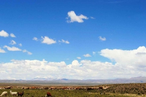 SÃO PEDRO DE ATACAMA - UYUNI - SÃO PEDRO DE ATACAMA