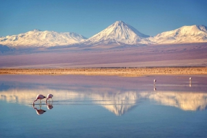 SAN PEDRO DE ATACAMA - UYUNI PÓŁPRYWATNA USŁUGA